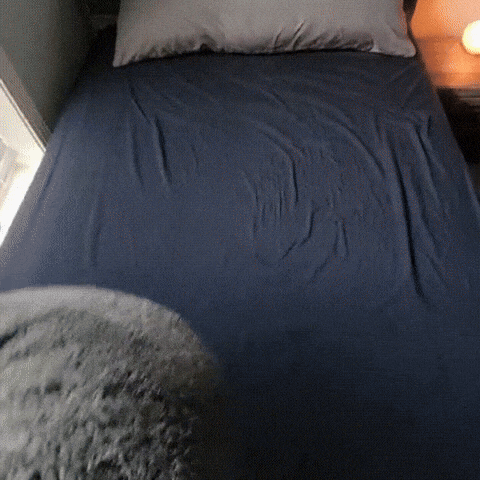 The Love Blanket - Waterproof Intimacy Blanket - Ms01