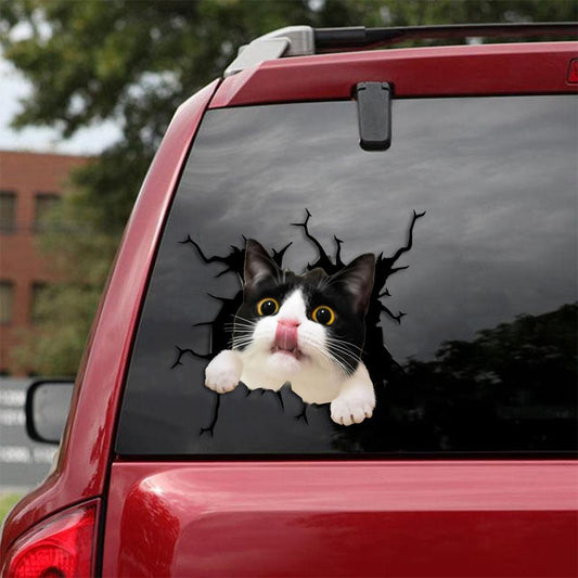 Car Sticker Cats Lover (204)