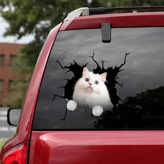 Car Sticker Cats Lover (196)