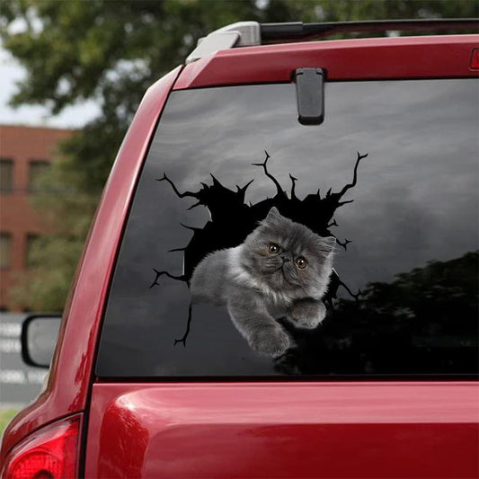 Car Sticker Cats Lover (49)