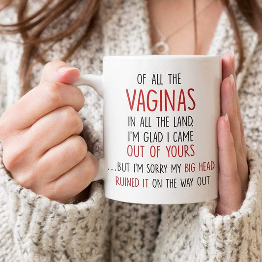 Of All The Vaginas In All The Land, I'm Glad I Came Out Of Yours... But I'm Sorry My Big Head Ruined It On The Way Out Mug - Gift For Mom Mother's Day