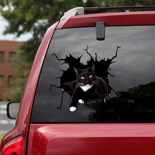 Car Sticker Cats Lover (6)