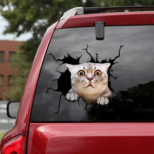 Car Sticker Cats Lover (147)