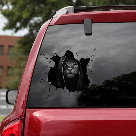 Car Sticker Cats Lover (162)