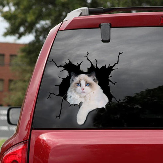 Car Sticker Cats Lover (198)