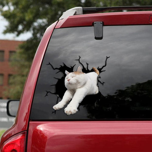 Car Sticker Cats Lover (215)