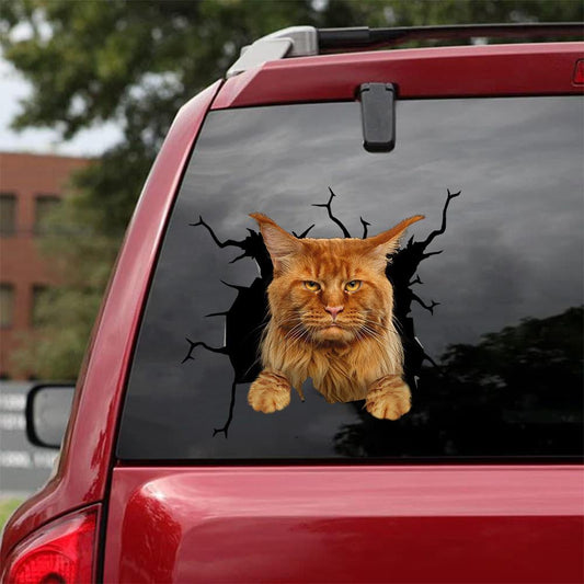 Car Sticker Cats Lover (58)