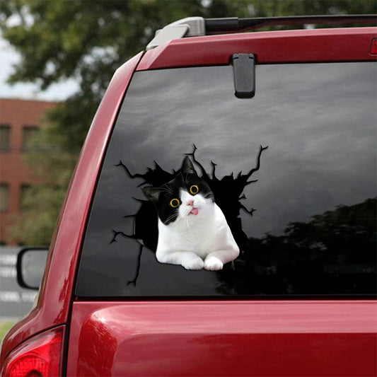 Car Sticker Cats Lover (217)