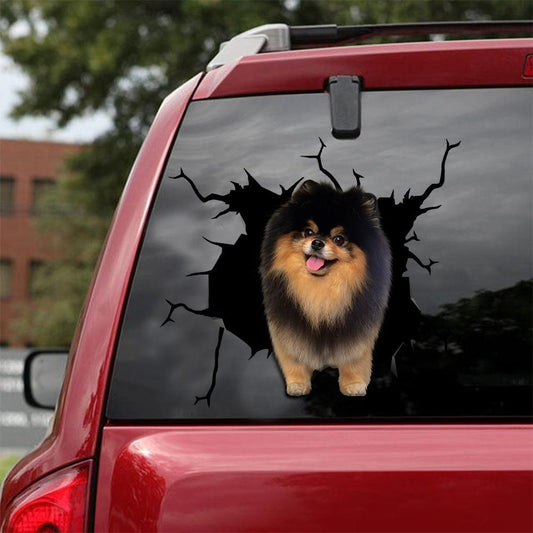 Pomeranian Crack Car Sticker, Toilet Sticker, Fridge Sticker 8