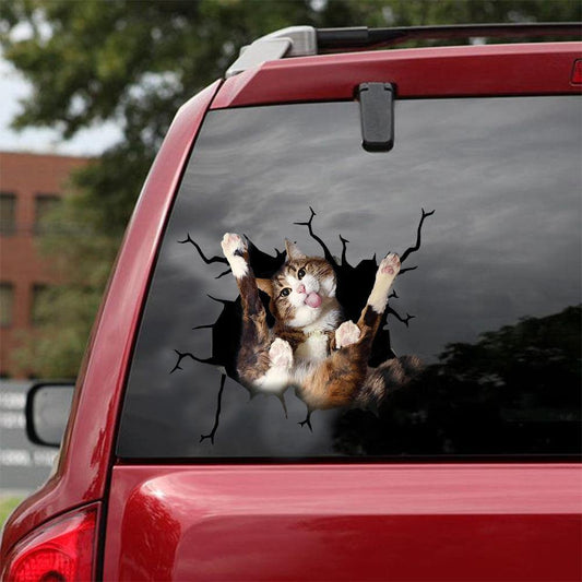 Car Sticker Cats Lover (173)