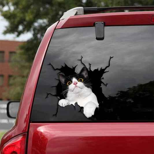 Car Sticker Cats Lover (205)