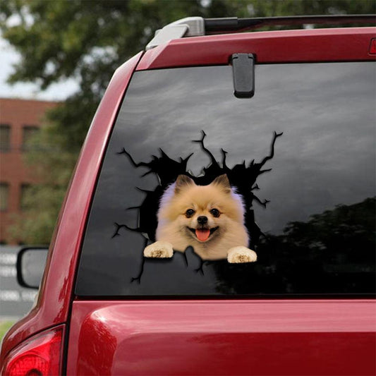 Pomeranian Crack Car Sticker, Toilet Sticker, Fridge Sticker 1