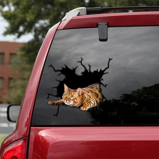 Car Sticker Cats Lover (245)