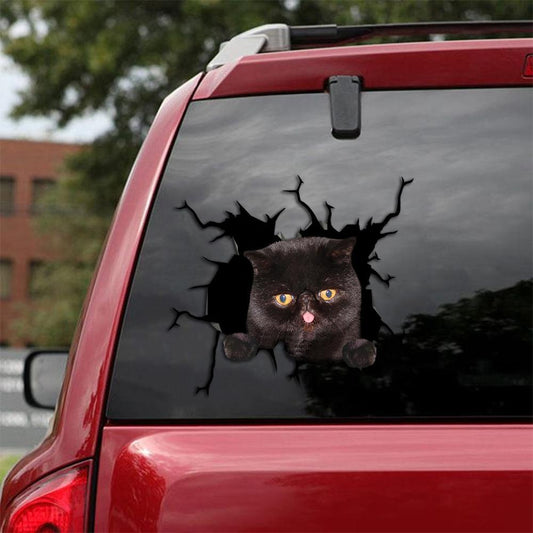 Car Sticker Cats Lover (234)