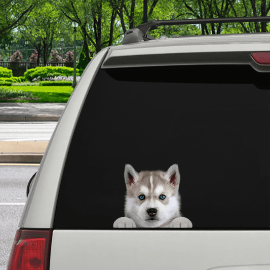 Can You See Me Now  Husky Car: Door: Fridge: Laptop Sticker V3