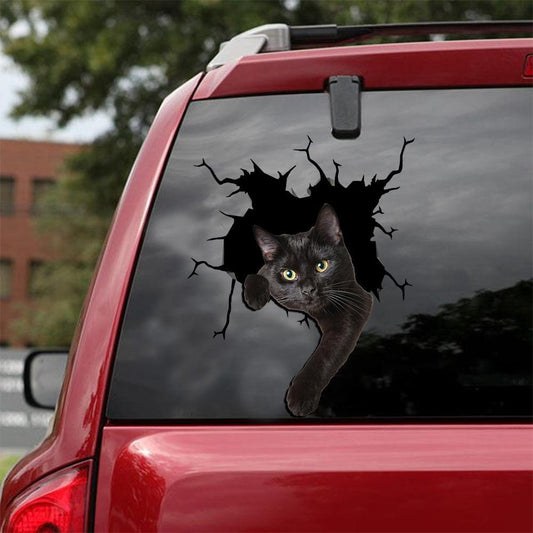 Car Sticker Cats Lover (141)