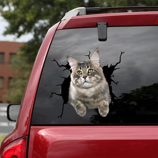 Car Sticker Cats Lover (57)