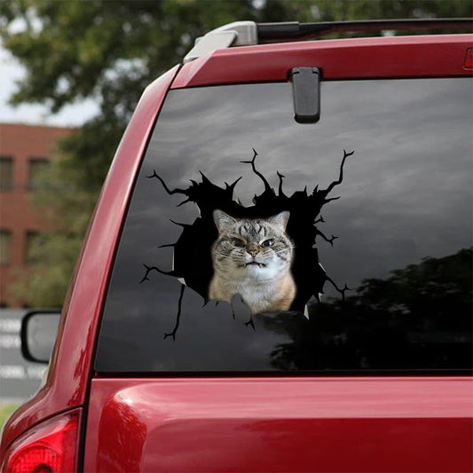 Car Sticker Cats Lover (177)