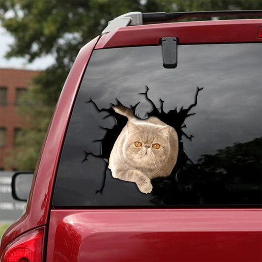 Car Sticker Cats Lover (236)