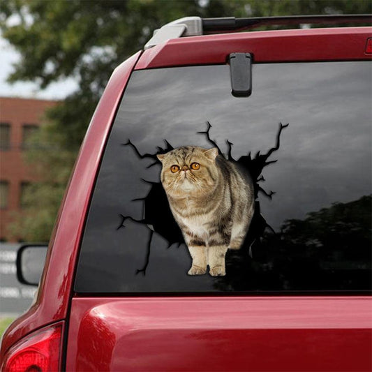 Car Sticker Cats Lover (237)