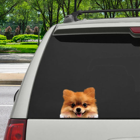 Can You See Me Now  Pomeranian Car: Door: Fridge: Laptop Sticker V1