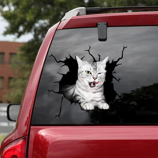 Car Sticker Cats Lover (145)