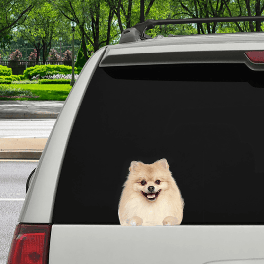 Can You See Me Now  Pomeranian Car: Door: Fridge: Laptop Sticker V3