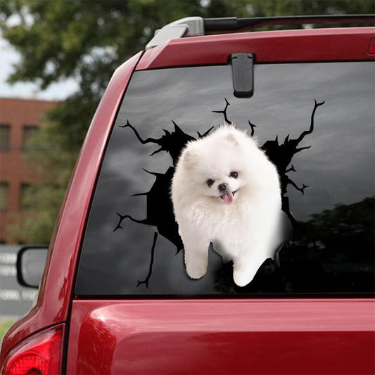 Pomeranian Crack Car Sticker, Toilet Sticker, Fridge Sticker 5