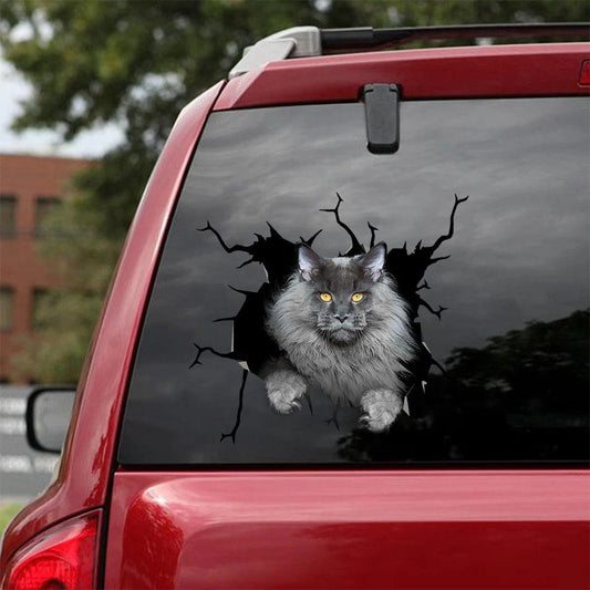 Car Sticker Cats Lover (187)