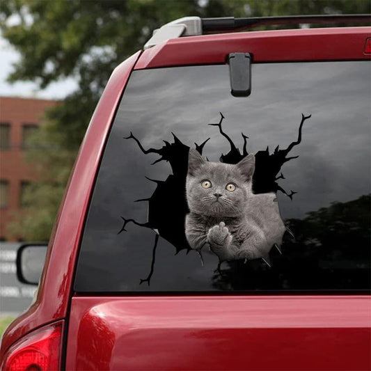 Car Sticker Cats Lover (180)