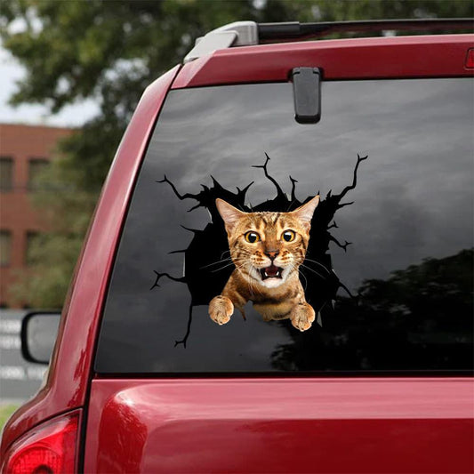 Car Sticker Cats Lover (40)