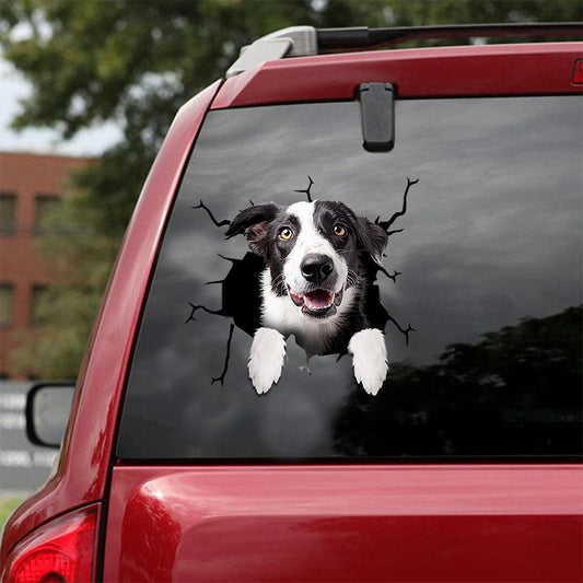 Border Collie Crack Car Sticker, Toilet Sticker, Fridge Sticker 24