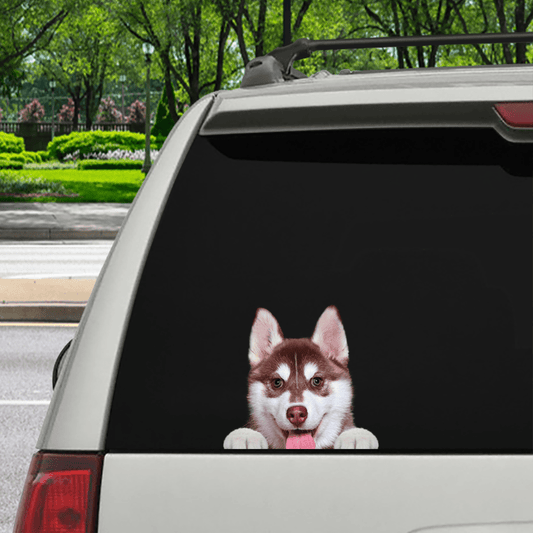 Can You See Me Now  Husky Car: Door: Fridge: Laptop Sticker V2