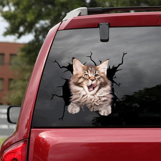 Car Sticker Cats Lover (59)