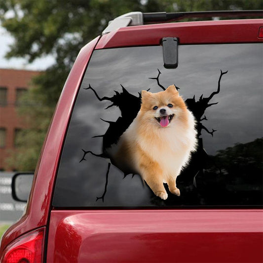 Pomeranian Crack Car Sticker, Toilet Sticker, Fridge Sticker 3