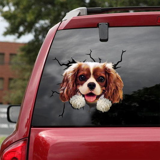 Cavalier King Charles Spaniel Crack Car Sticker, Toilet Sticker, Fridge Sticker 8