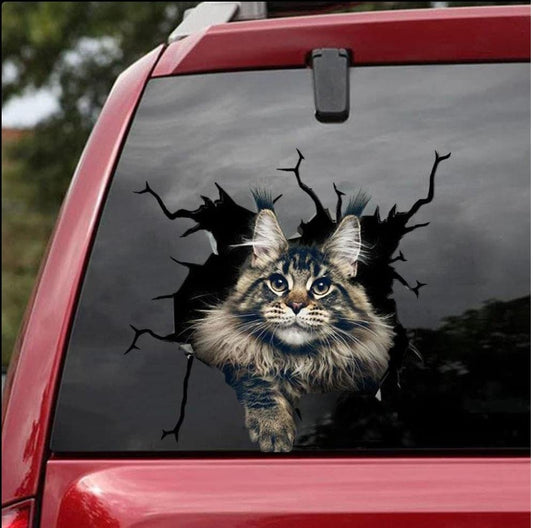 Car Sticker Cats Lovers 7