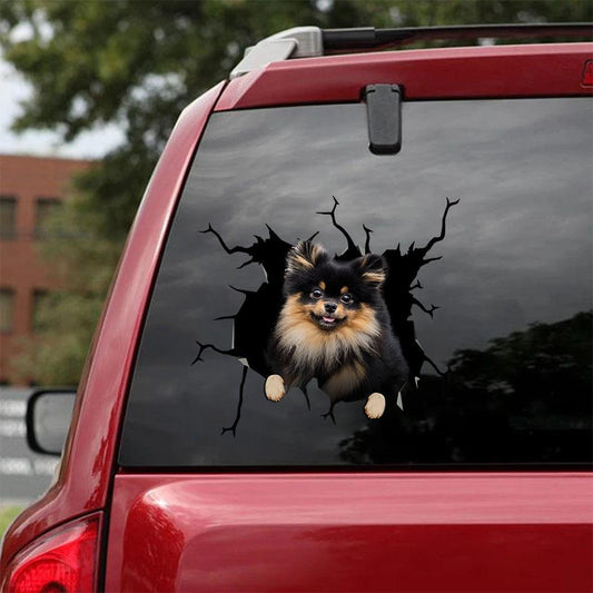 Pomeranian Crack Car Sticker, Toilet Sticker, Fridge Sticker 14