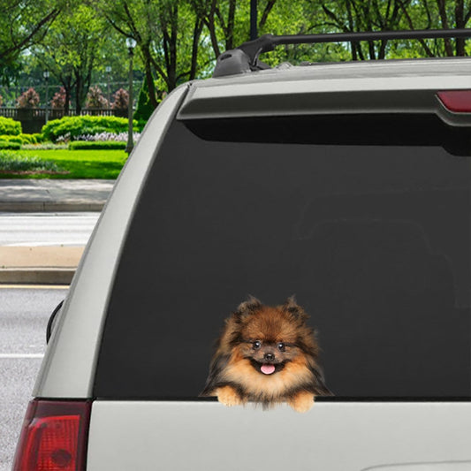 Can You See Me Now  Pomeranian Car: Door: Fridge: Laptop Sticker V2