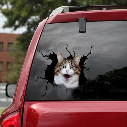 Car Sticker Cats Lover (171)